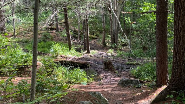 Challenging Hiking Trail