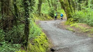 Couple Hiking Up The Hill With Poles