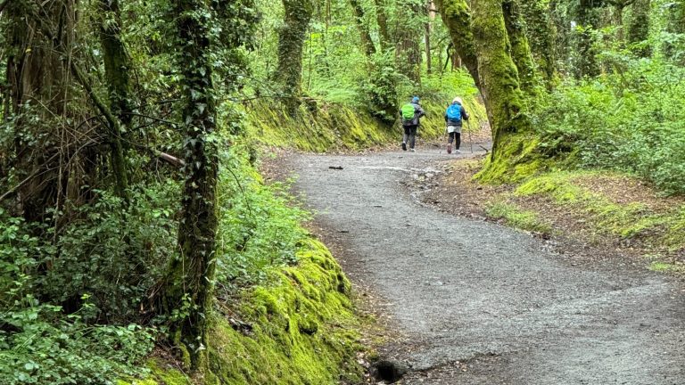 Couple Hiking Up The Hill With Poles