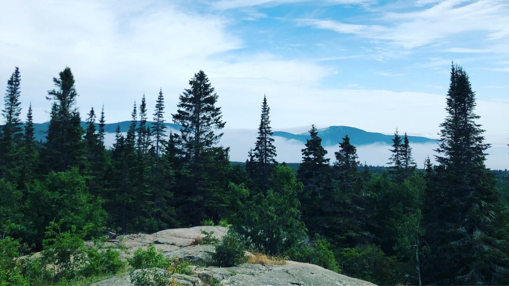 Foggy Mountain Top