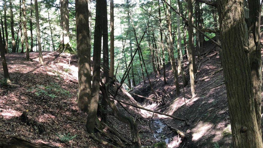 Gorge in Park