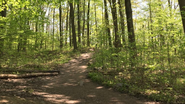Hiking Trail