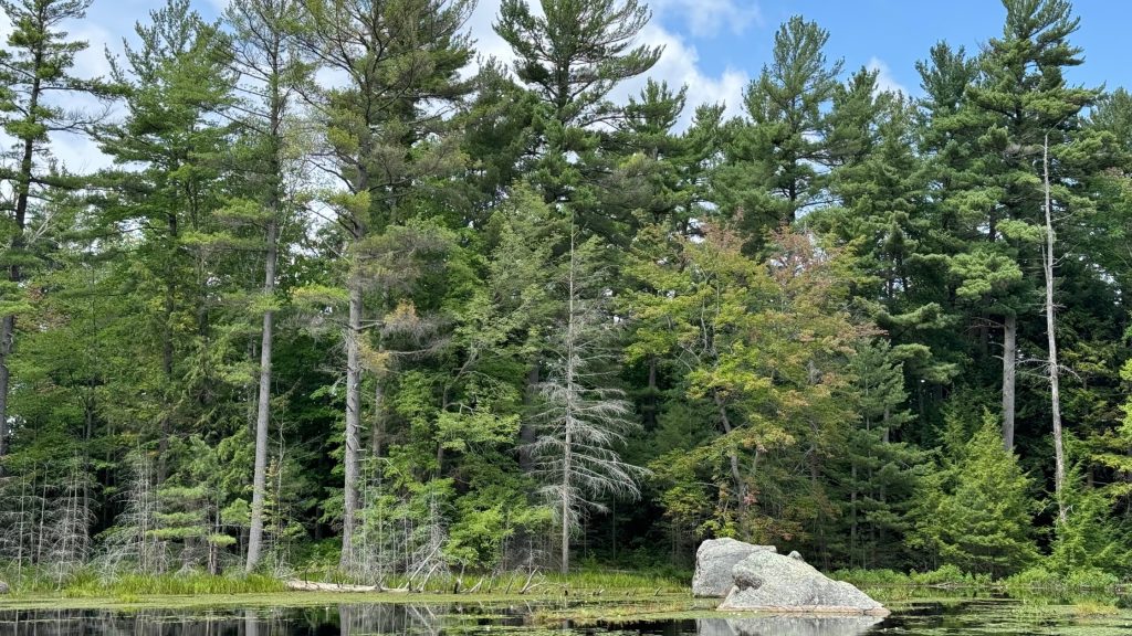 Inland Lake on Hiking Trail
