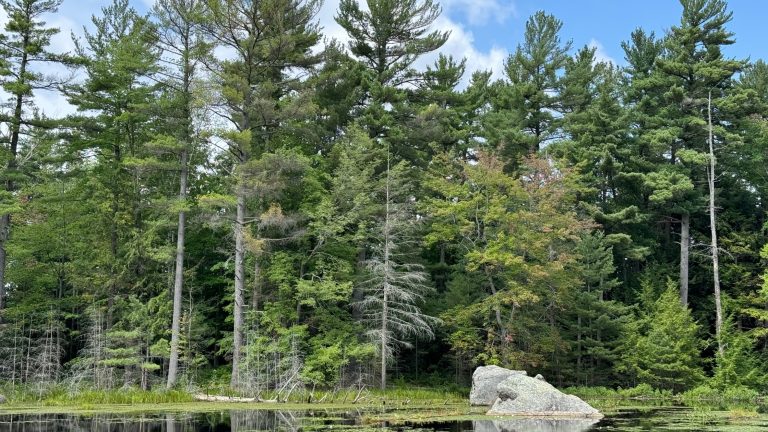 Inland Lake on Hiking Trail