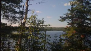 Looking Out To The Lake at Dusk