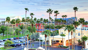 Chandler Ostrich Festival