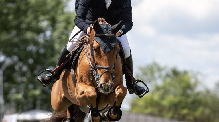 Devon Horse Show & Country Fair