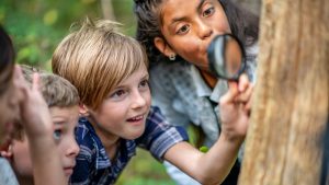 Kids Event - Seeing Bug Through Magnifying Glass