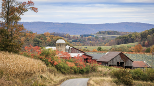 Pennsylvania Maple Festival