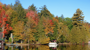 New York State Maple Weekends in the Adirondacks & Finger Lakes