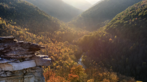 West Virginia Three Rivers Festival