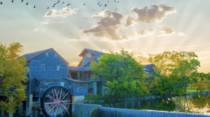 Dollywood I Will Always Love You Music Festival