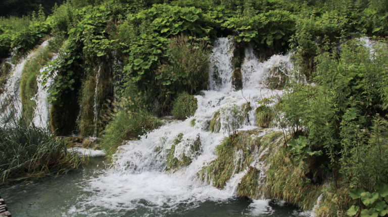 Waikīkī SPAM JAM Block Party