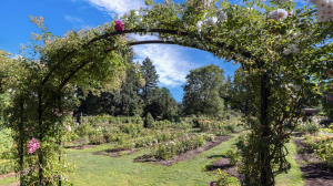 Portland Rose Festival CityFair