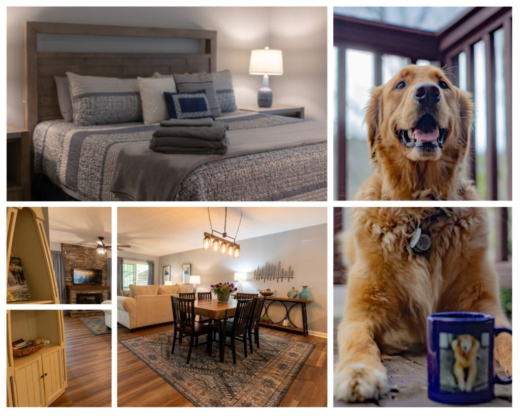 Watauga Lake Tennessee