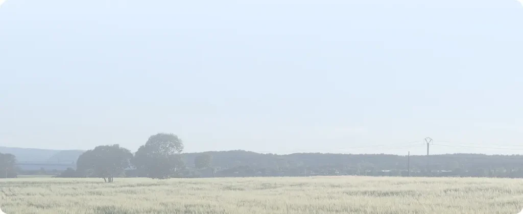 Region Great Lakes Midwest Blue Filter