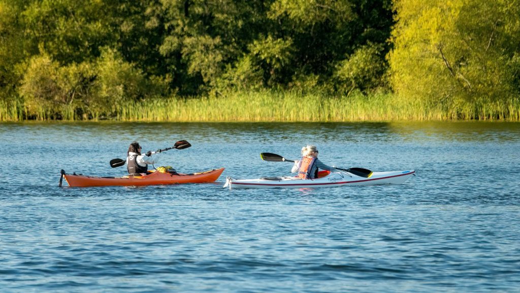 Kayakers On Pigeon River