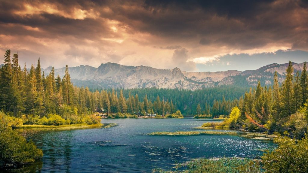 Pocono Mountains Summer