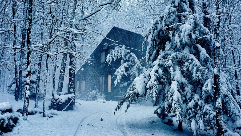 The Poconos In Winter