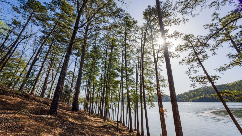 Broken Bow Hiking Trails