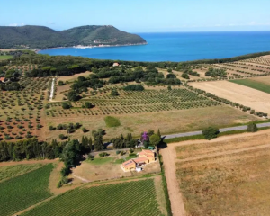 Tuscan coast retreat