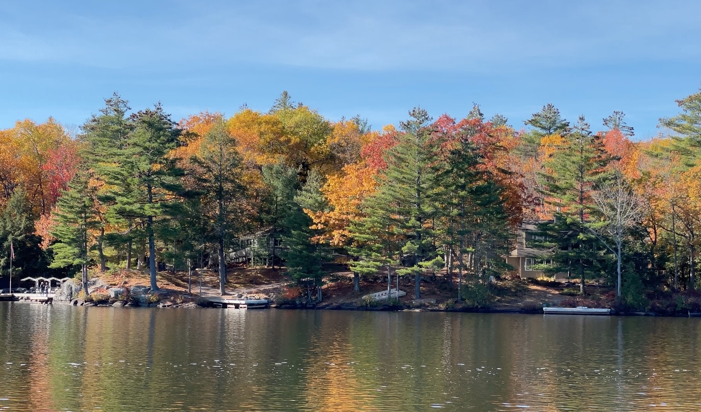 Fall Foliage Map