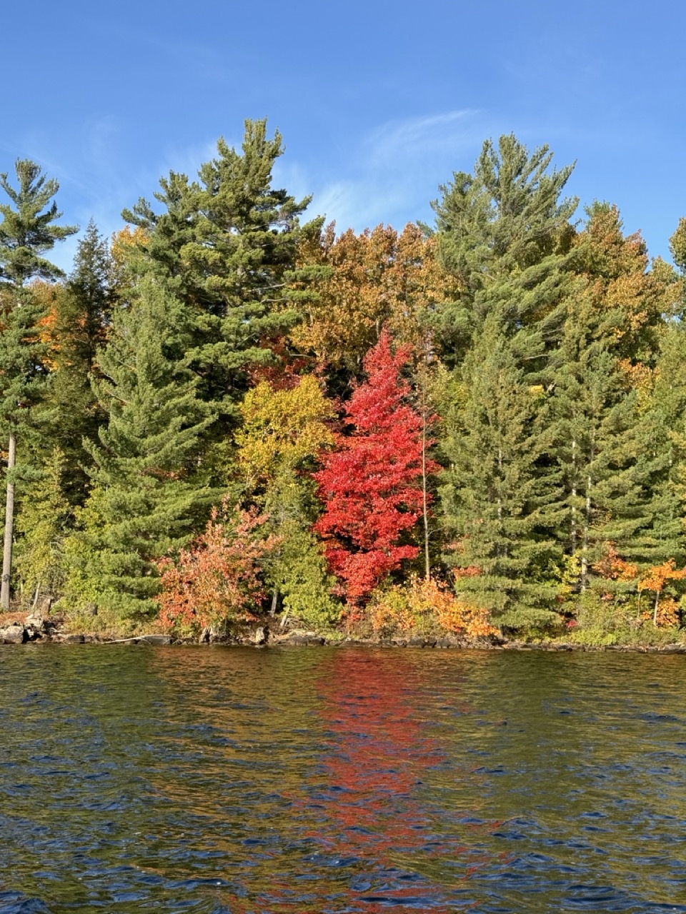 Lake Shoreline In Fall Large