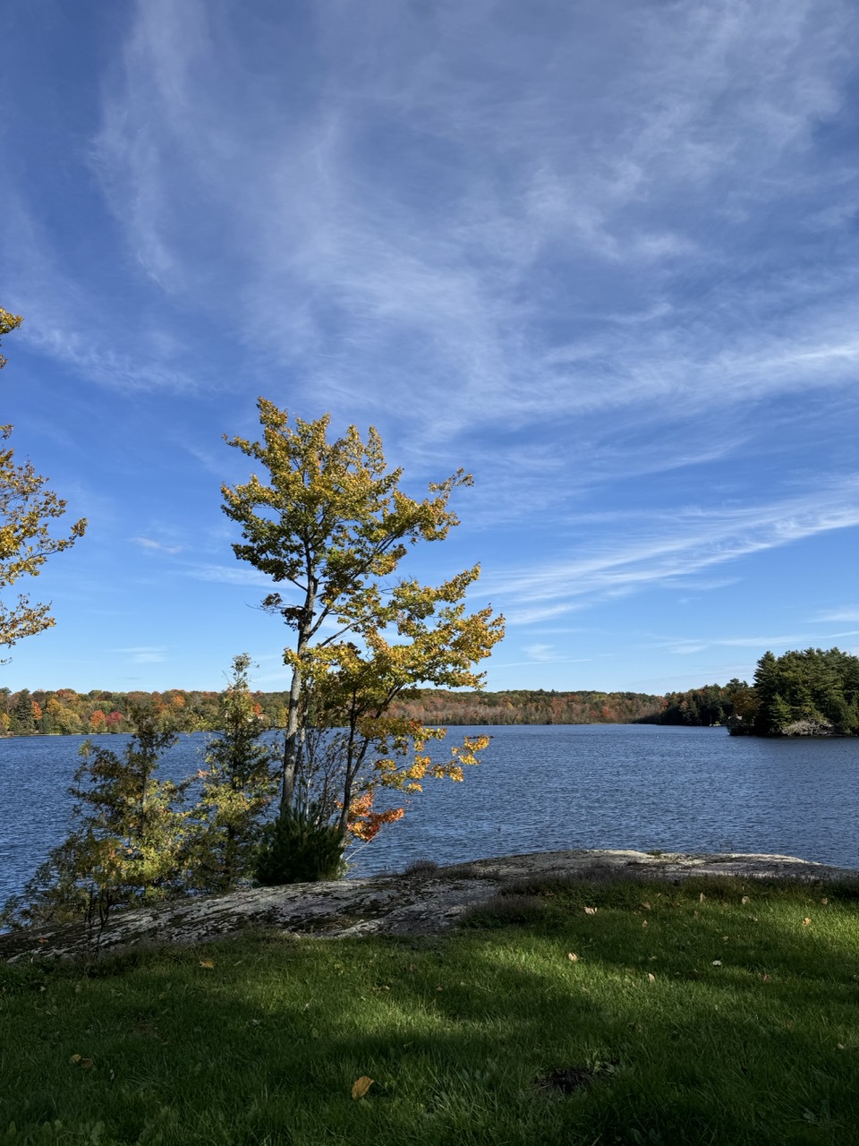 Canadian Thanksgiving Muskoka Ontario Large